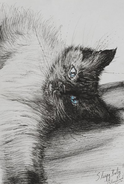 リーチ、2012年（紙にインク） 作： Vincent Alexander Booth